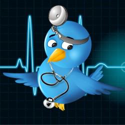 Tweet media